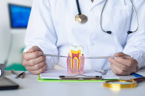 Best Emergency Root Canal Treatment in Lake Stevens, WA